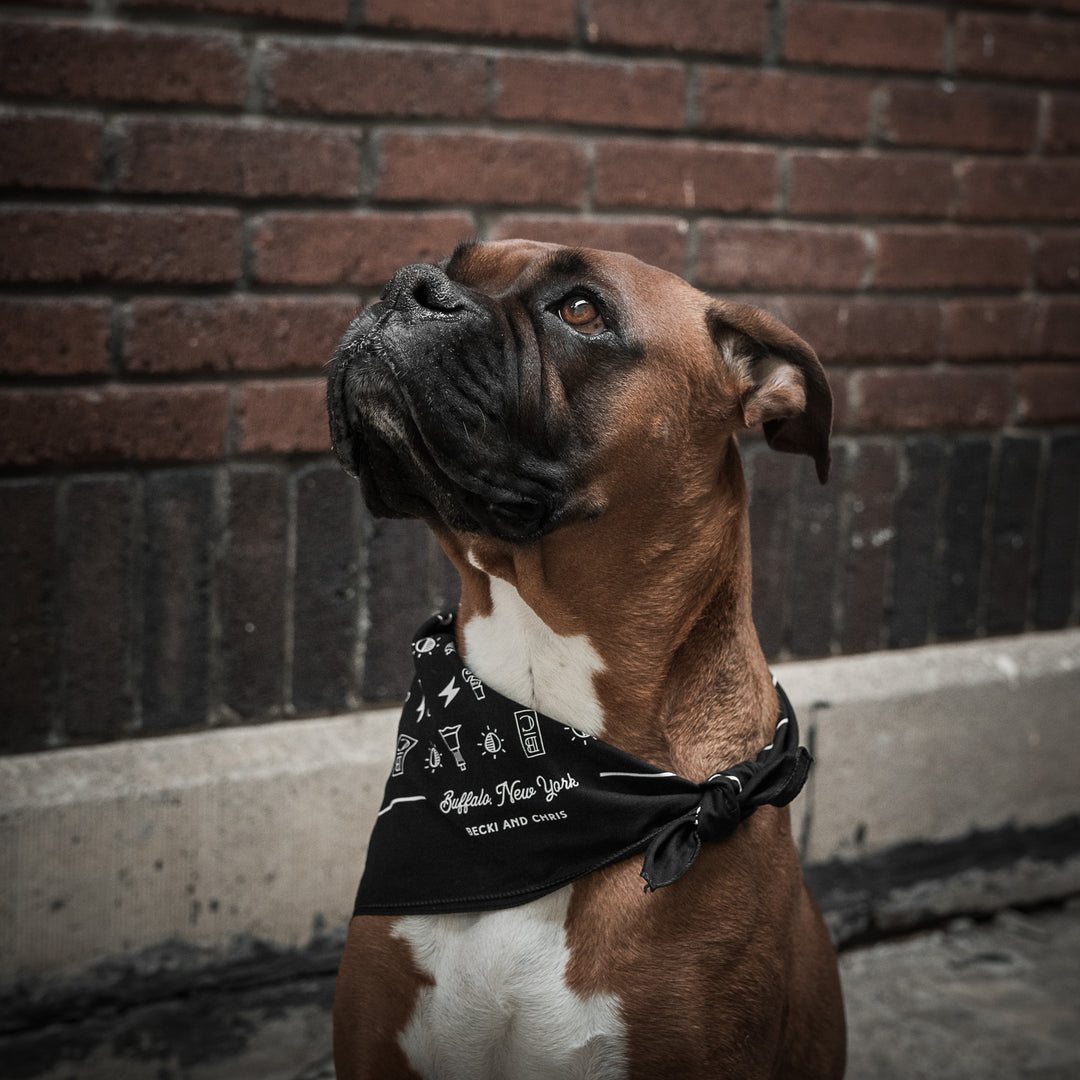 Capture Photons Bandana – EXCLUSIVE
